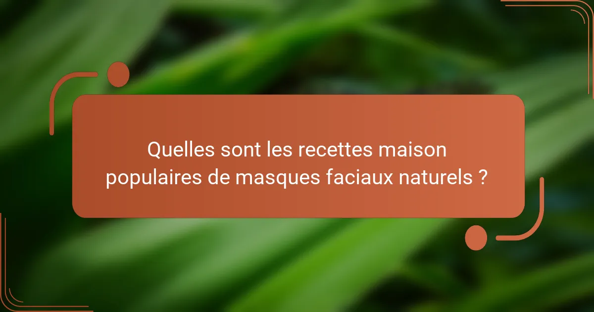 Quelles sont les recettes maison populaires de masques faciaux naturels ?