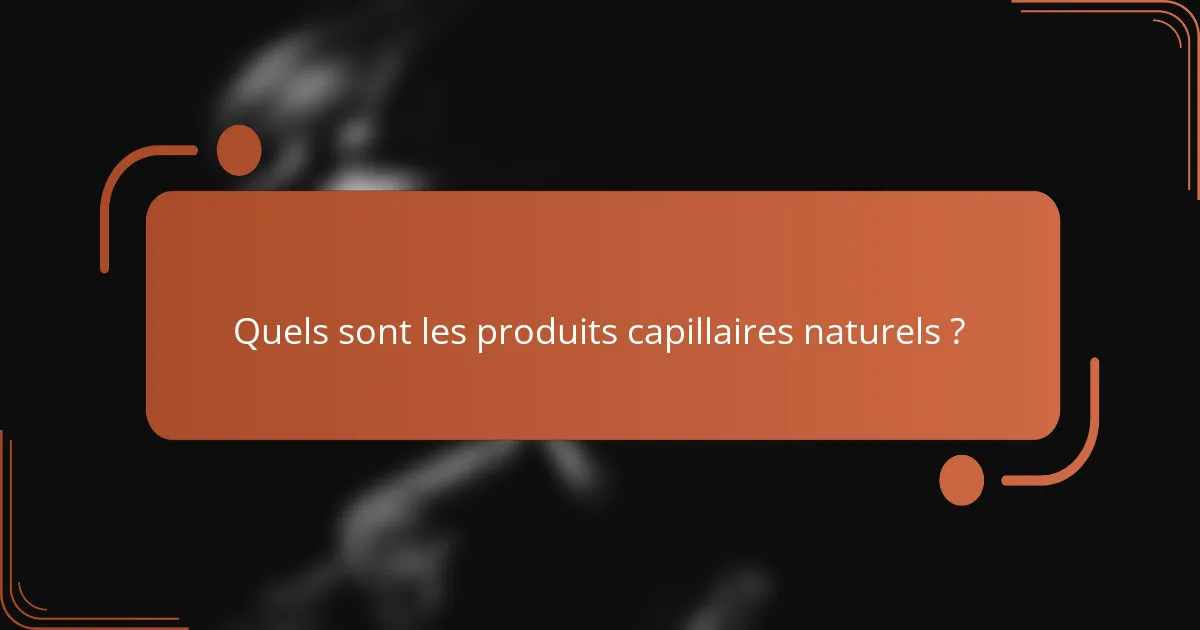 Quels sont les produits capillaires naturels ?